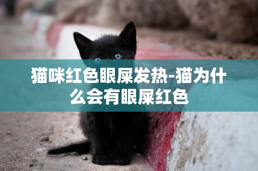 貓咪紅色眼屎發熱-貓為什么會有眼屎紅色