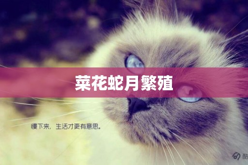 菜花蛇月繁殖