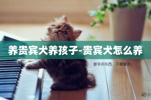 養貴賓犬養孩子-貴賓犬怎么養