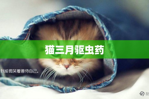 貓三月驅蟲藥