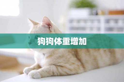 狗狗體重增加