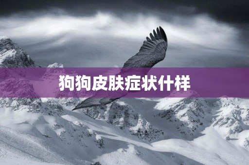狗狗皮膚癥狀什樣