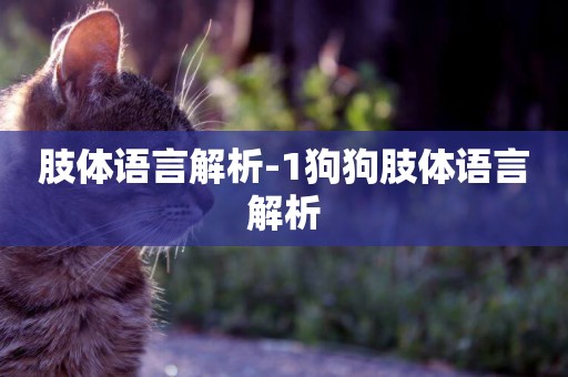 肢體語言解析-1狗狗肢體語言解析