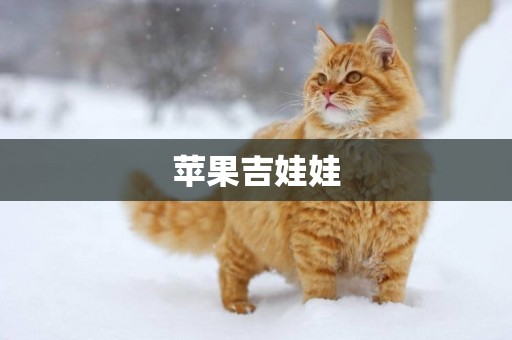 蘋果吉娃娃
