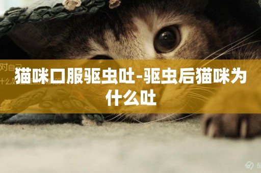 貓咪口服驅蟲吐-驅蟲后貓咪為什么吐