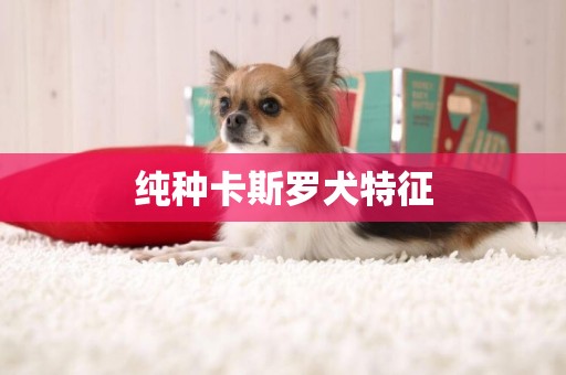 純種卡斯羅犬特征