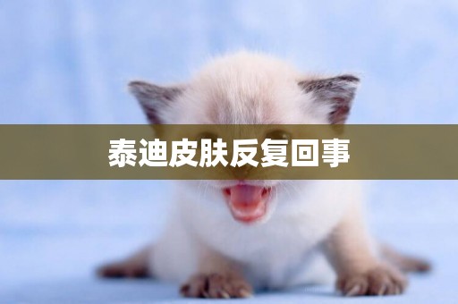 泰迪皮膚反復回事