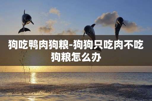 狗吃鴨肉狗糧-狗狗只吃肉不吃狗糧怎么辦