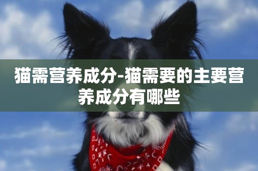 貓需營養成分-貓需要的主要營養成分有哪些