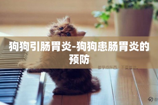 狗狗引腸胃炎-狗狗患腸胃炎的預防