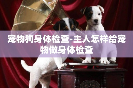 寵物狗身體檢查-主人怎樣給寵物做身體檢查