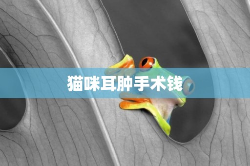 貓咪耳腫手術錢