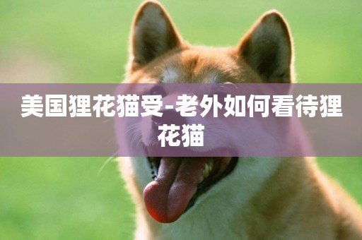 美國貍花貓受-老外如何看待貍花貓