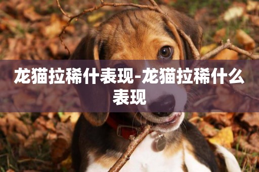 龍貓拉稀什表現-龍貓拉稀什么表現