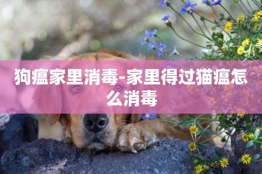 狗瘟家里消毒-家里得過貓瘟怎么消毒