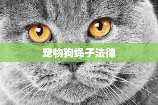 寵物狗繩子法律