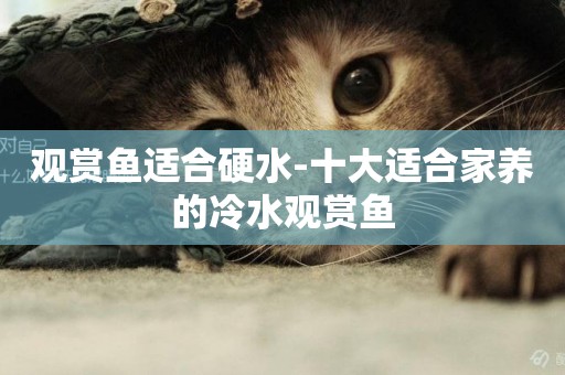觀賞魚適合硬水-十大適合家養的冷水觀賞魚