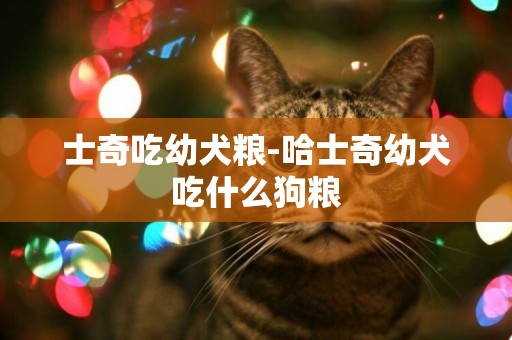 士奇吃幼犬糧-哈士奇幼犬吃什么狗糧