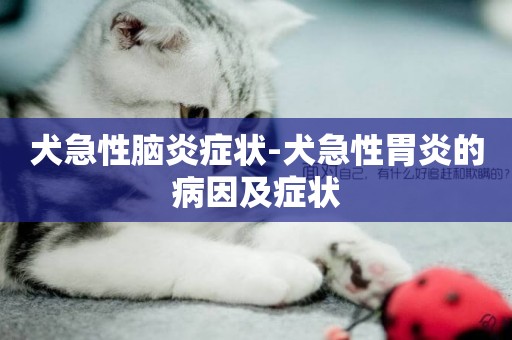 犬急性腦炎癥狀-犬急性胃炎的病因及癥狀