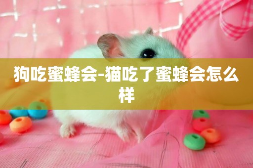 狗吃蜜蜂會-貓吃了蜜蜂會怎么樣