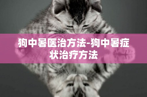 狗中暑醫治方法-狗中暑癥狀治療方法