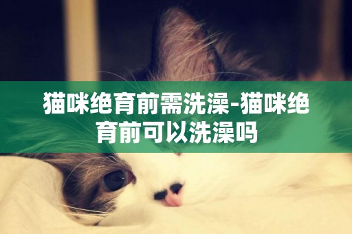 貓咪絕育前需洗澡-貓咪絕育前可以洗澡嗎