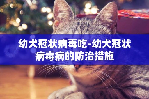 幼犬冠狀病毒吃-幼犬冠狀病毒病的防治措施