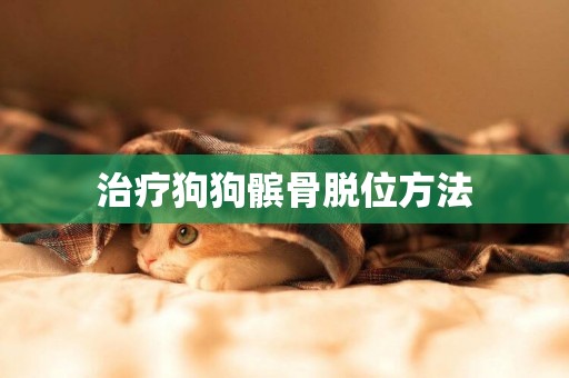 治療狗狗髕骨脫位方法