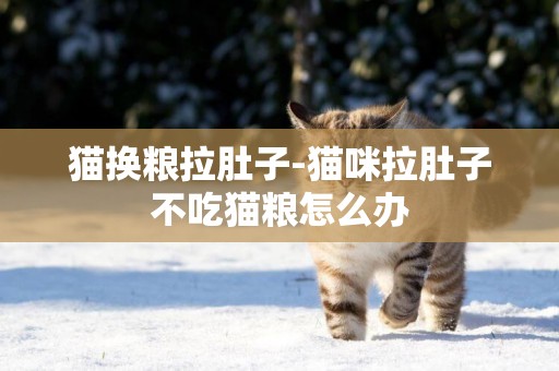 貓換糧拉肚子-貓咪拉肚子不吃貓糧怎么辦