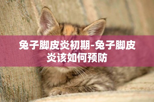 兔子腳皮炎初期-兔子腳皮炎該如何預防