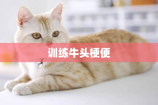 訓練牛頭梗便