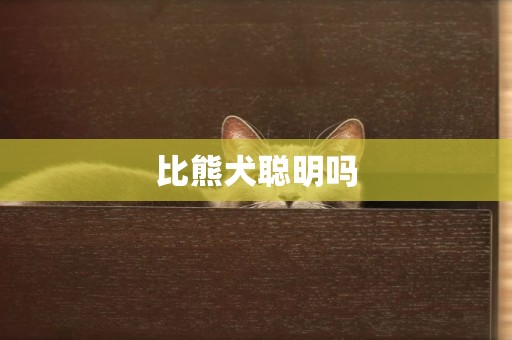比熊犬聰明嗎
