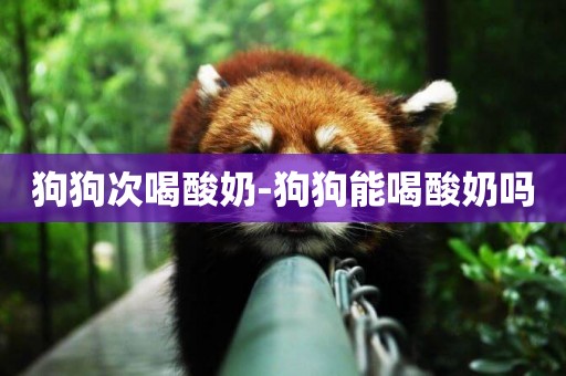 狗狗次喝酸奶-狗狗能喝酸奶嗎