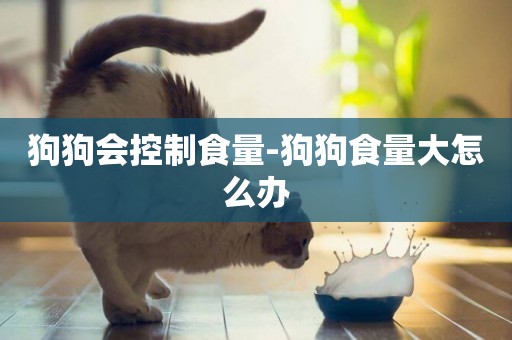 狗狗會控制食量-狗狗食量大怎么辦