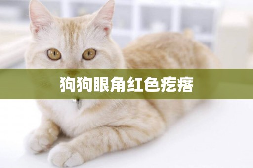 狗狗眼角紅色疙瘩