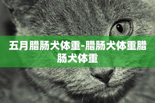 五月臘腸犬體重-臘腸犬體重臘腸犬體重