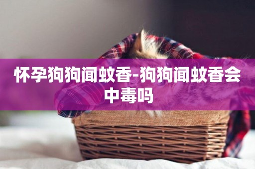 懷孕狗狗聞蚊香-狗狗聞蚊香會中毒嗎