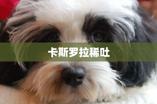 卡斯羅拉稀吐