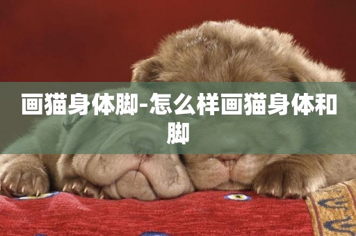 畫貓身體腳-怎么樣畫貓身體和腳