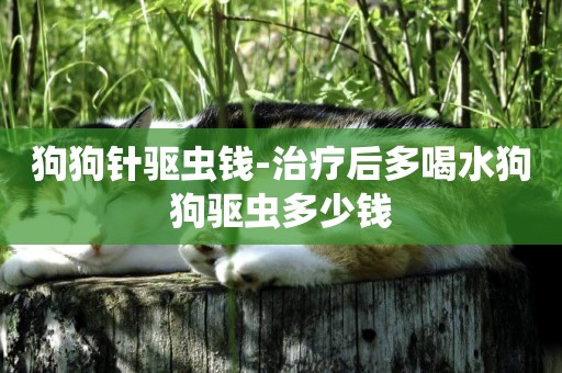 狗狗針驅蟲錢-治療后多喝水狗狗驅蟲多少錢
