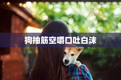 狗抽筋空嚼口吐白沫