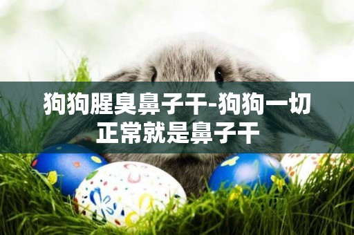 狗狗腥臭鼻子干-狗狗一切正常就是鼻子干