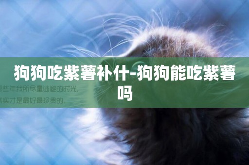 狗狗吃紫薯補什-狗狗能吃紫薯嗎