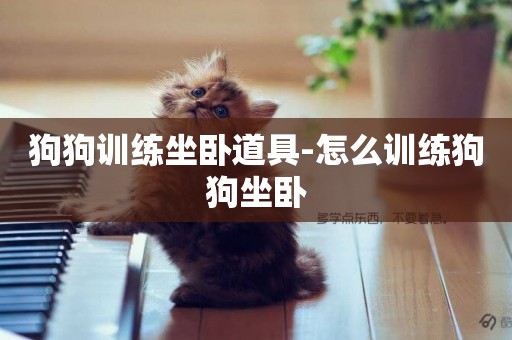 狗狗訓練坐臥道具-怎么訓練狗狗坐臥
