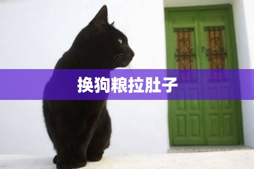 換狗糧拉肚子