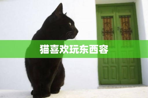 貓喜歡玩東西容