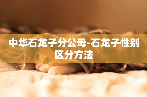 中華石龍子分公母-石龍子性別區分方法