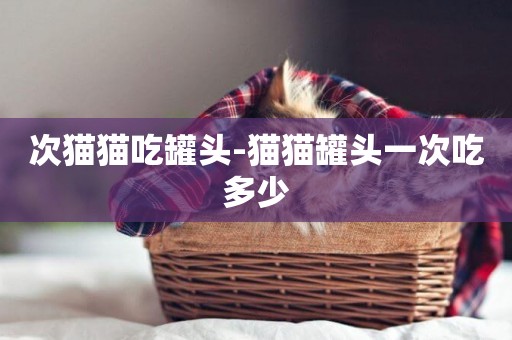 次貓貓吃罐頭-貓貓罐頭一次吃多少