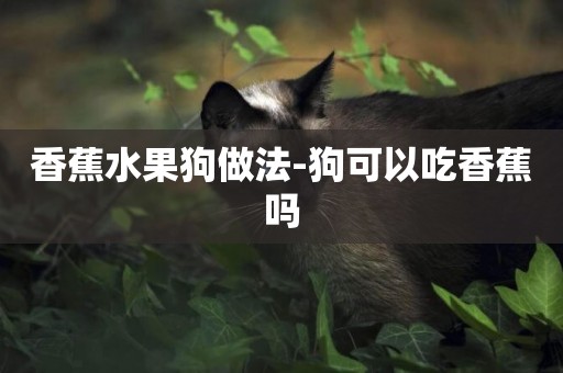 香蕉水果狗做法-狗可以吃香蕉嗎
