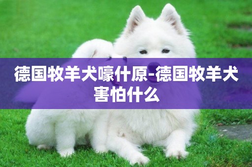 德國牧羊犬嚎什原-德國牧羊犬害怕什么